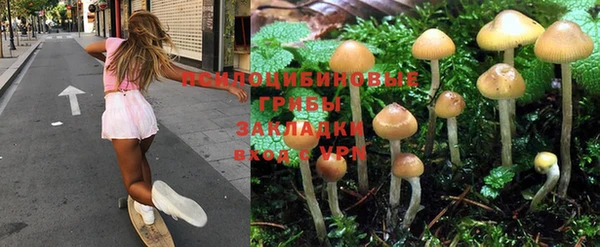 мескалин Бородино